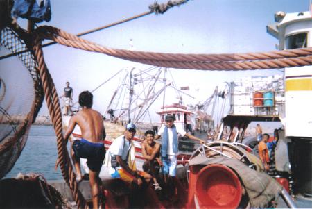 barikhaa